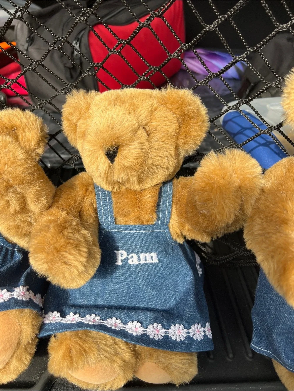 Personalized Brown Plush Teddy Bear Collection in Blue Outfits